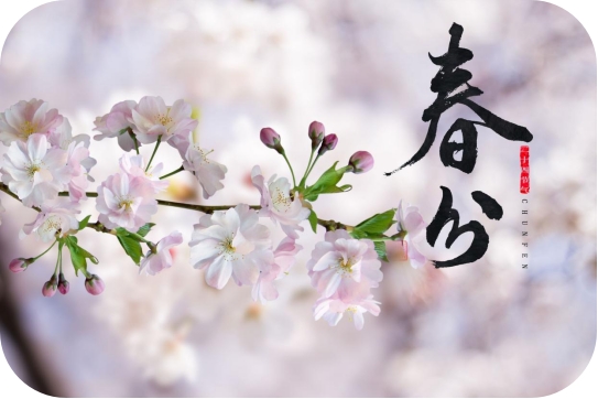 今日春分 萬(wàn)事可期